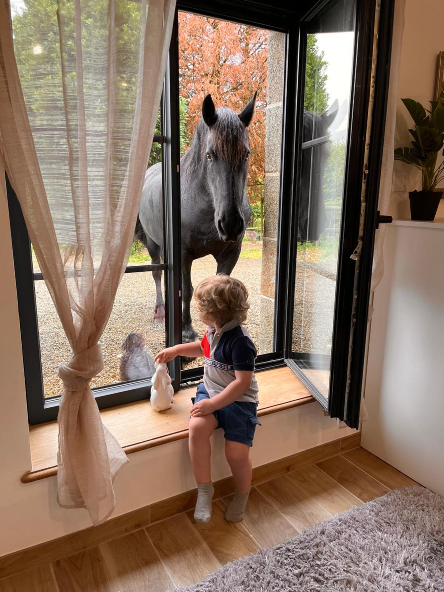 Madelaine Ranch, Nouvelle Piscine 2025 Villa Le Gast Buitenkant foto